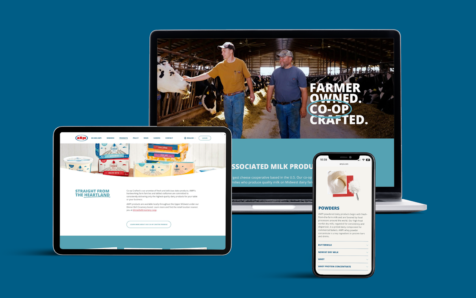 Digital format of websites