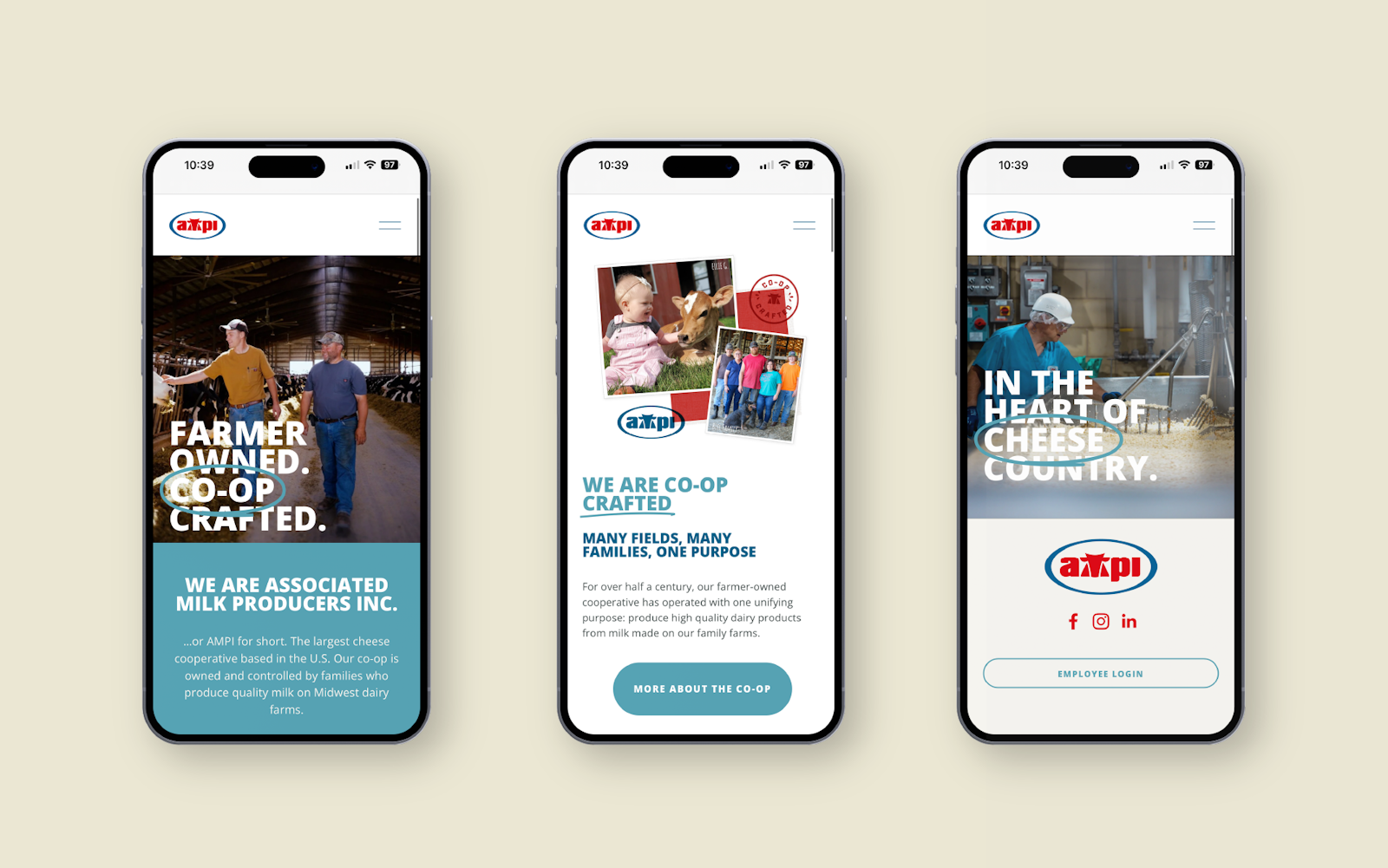 AMPI Website on IPhones