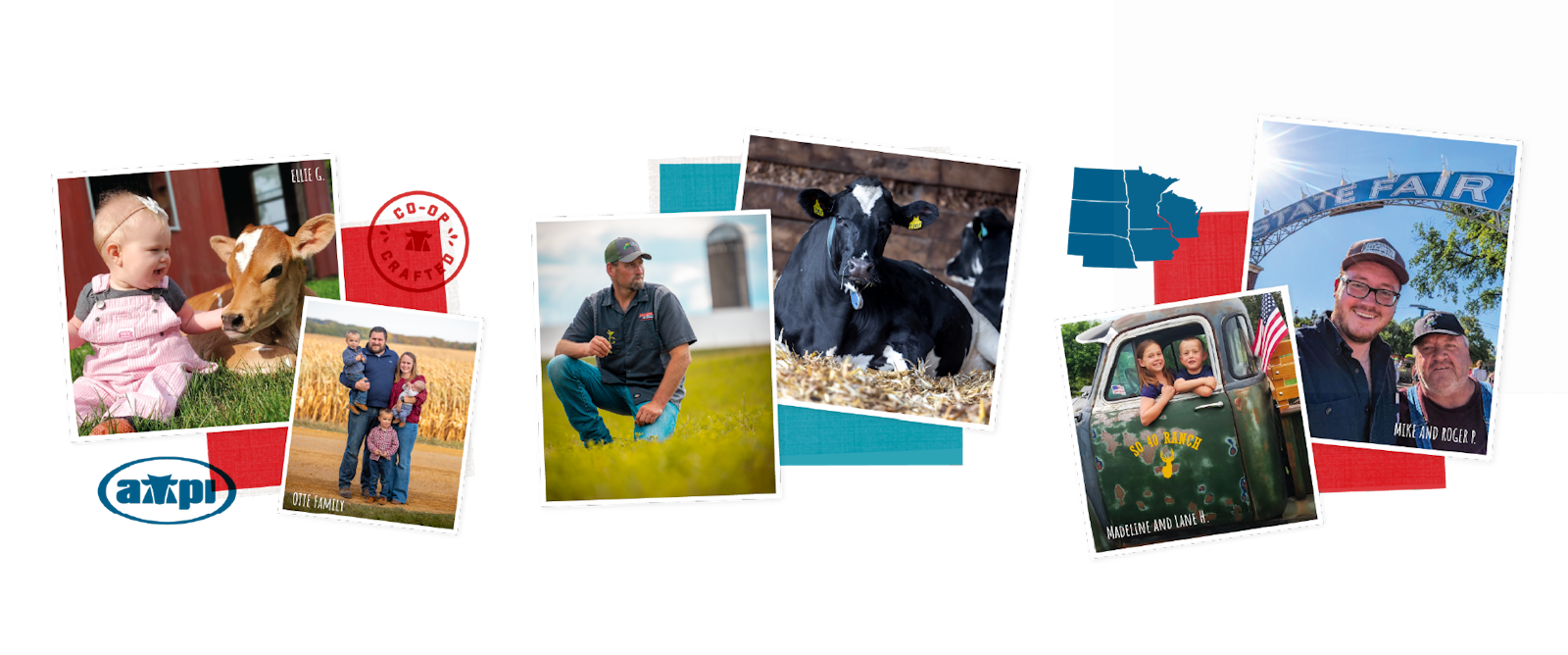 Collage of photos from AMPI