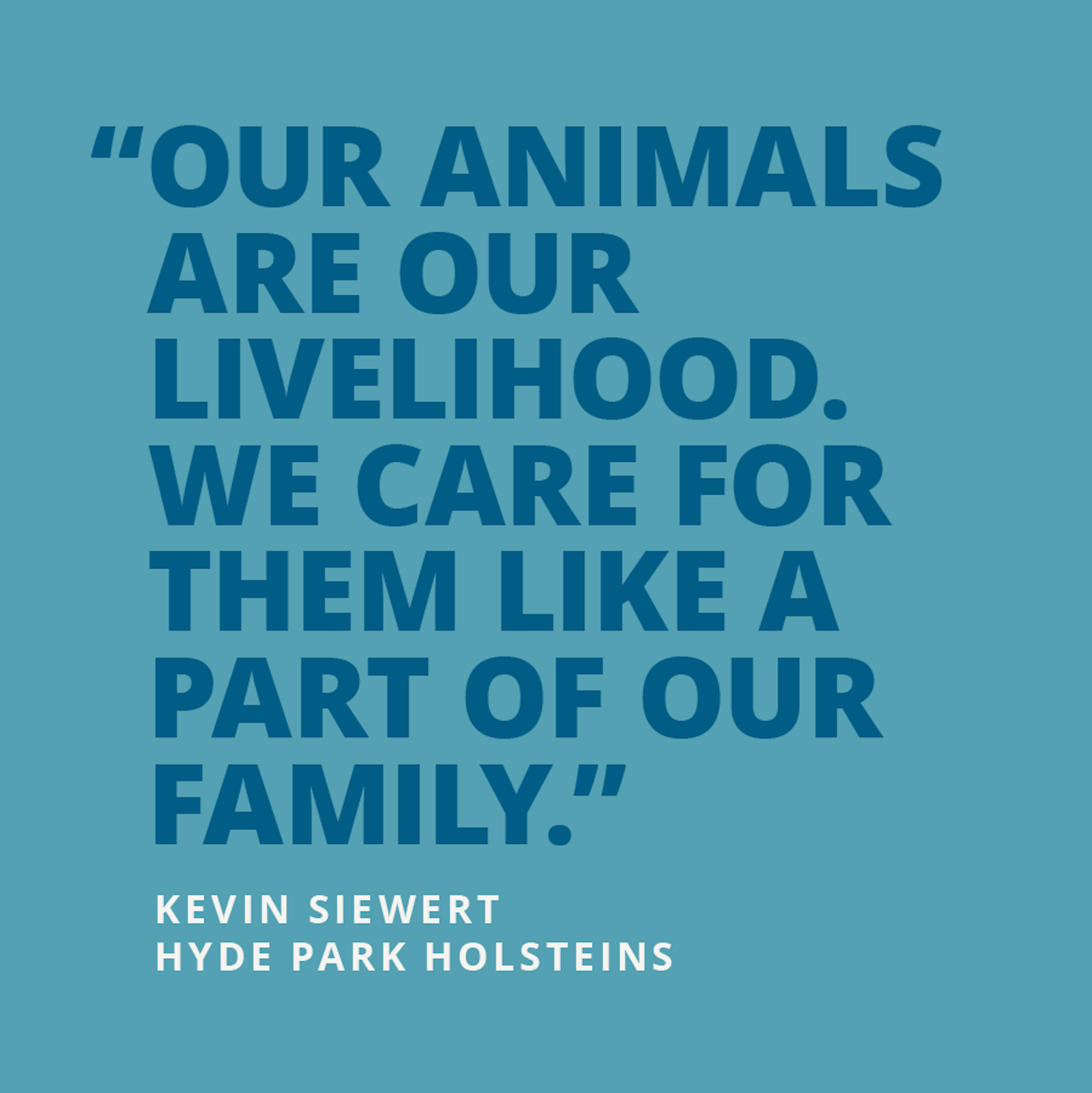 AMP Case Study Quote