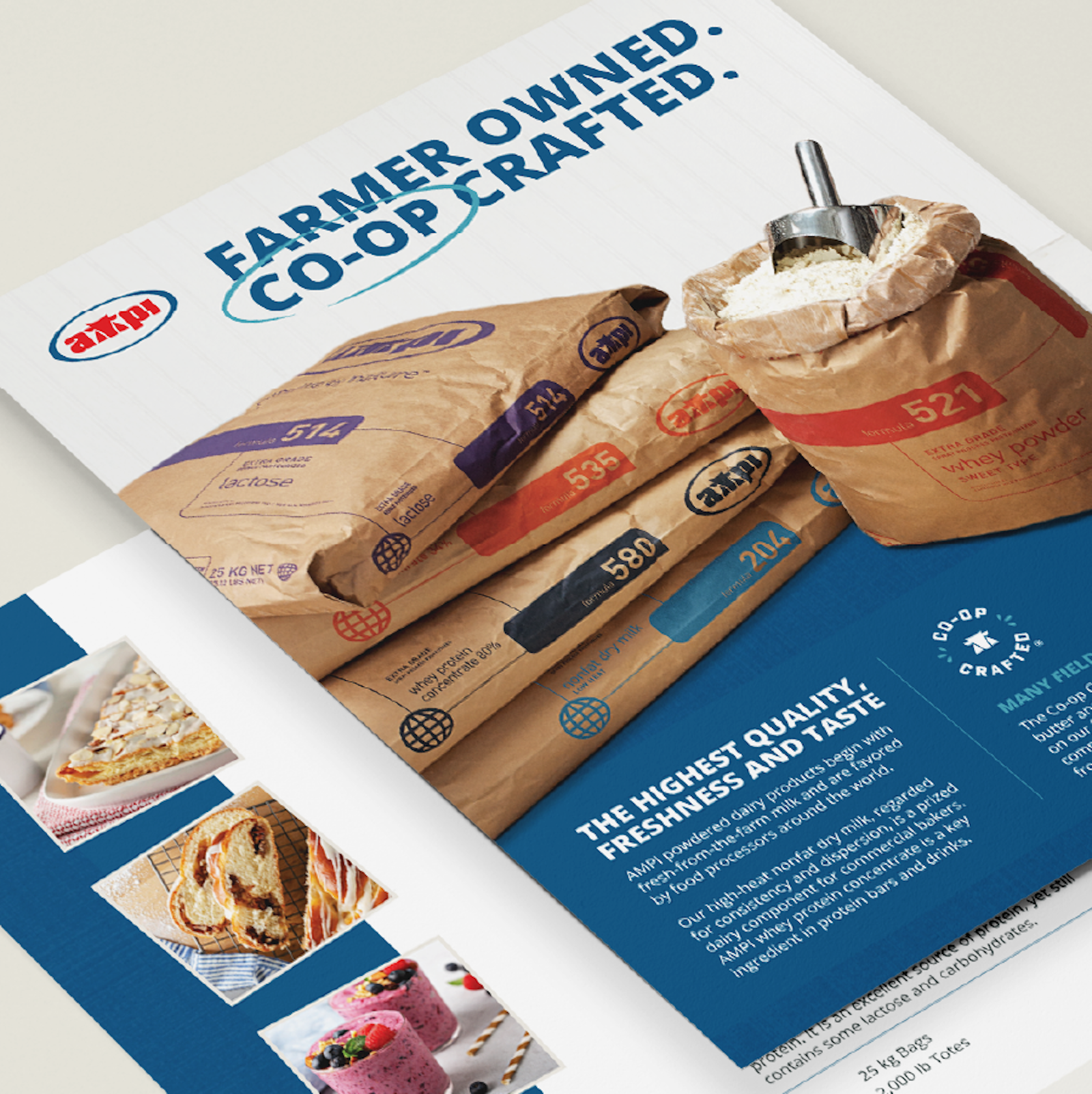 AMPI Case Study Sellsheet A 1