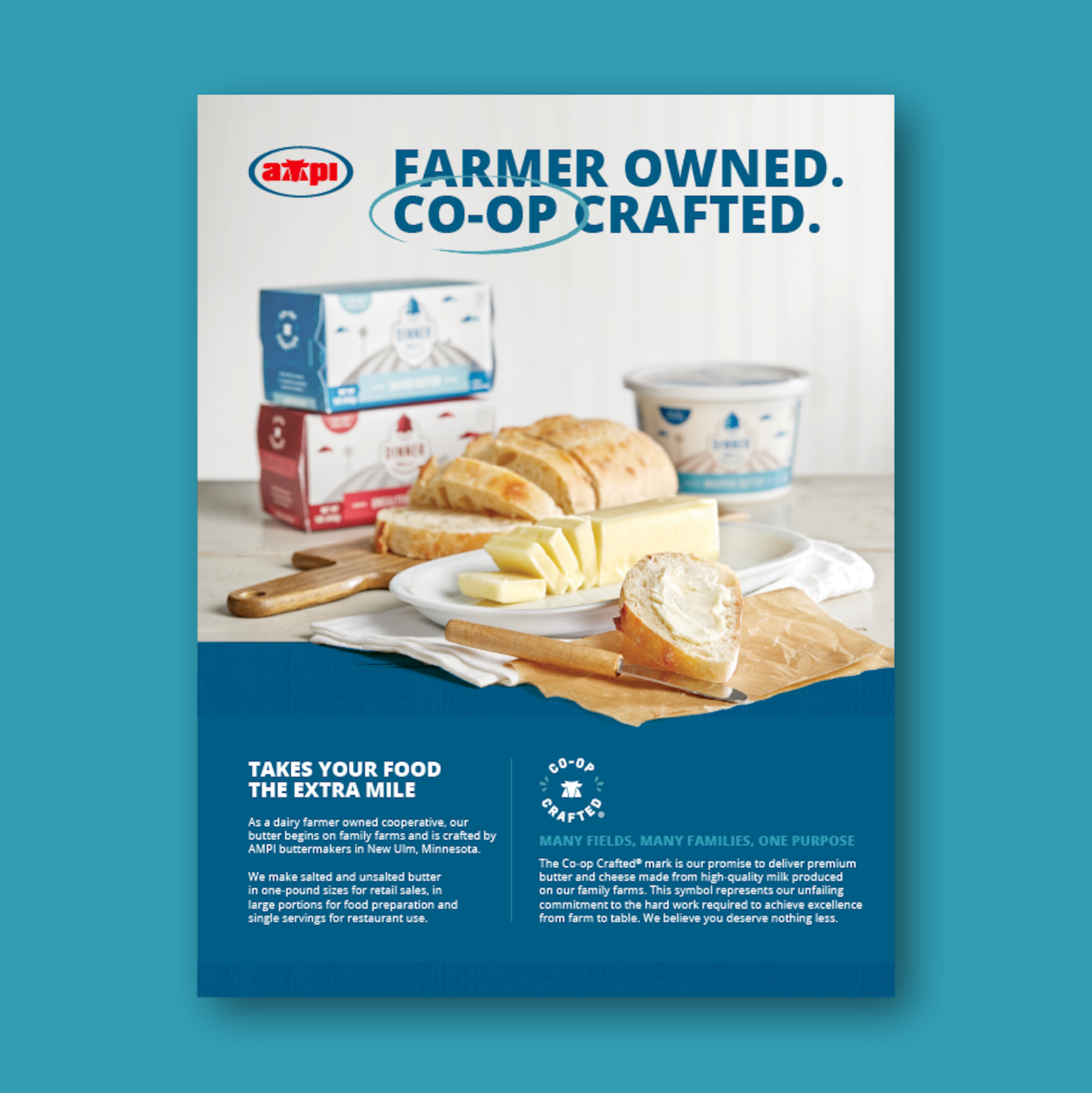 AMPI Case Study Sellsheet B 1