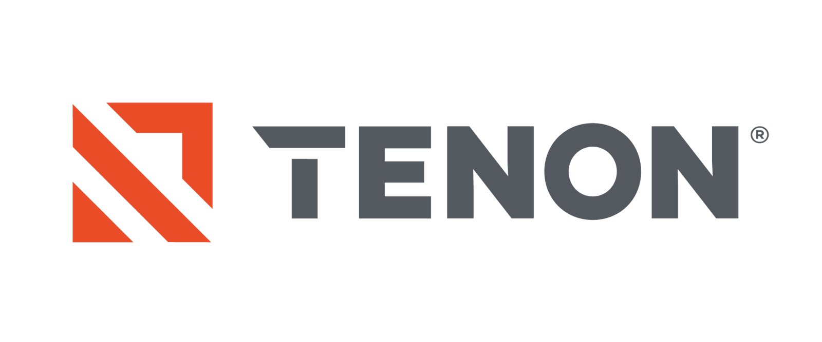Tenon logo design next to word mark in color on white background