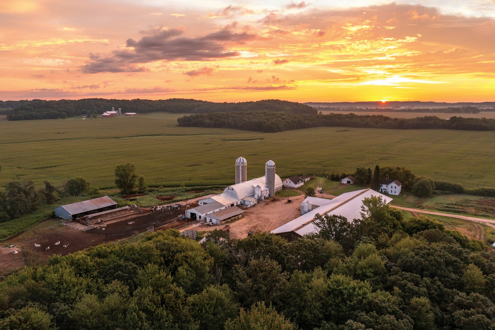 COOPCRAFTED378 0655 copy DB RGB