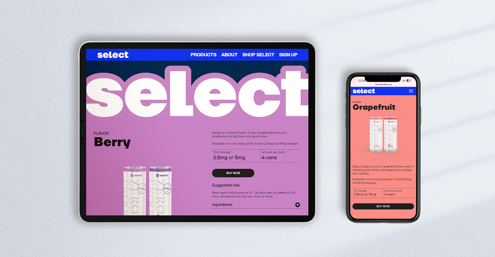 CUR ZP Case Study Digital A 3