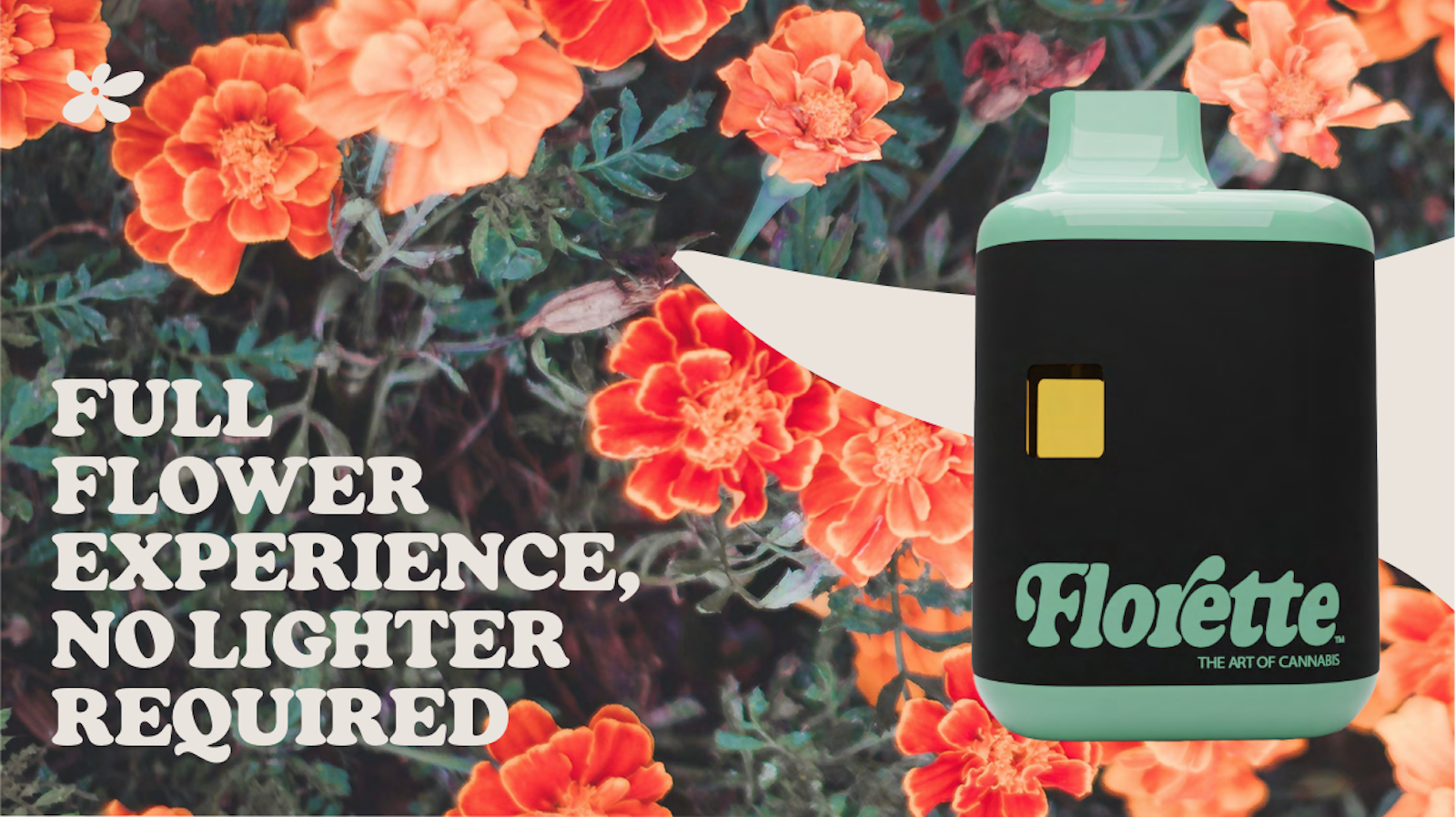 FLO Case Study Option C 1