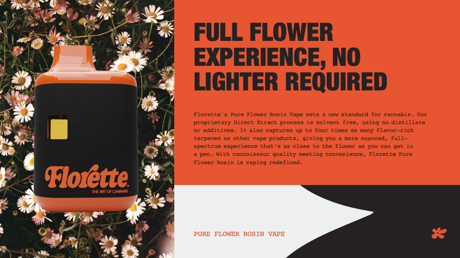 FLO Case Study Option F 1