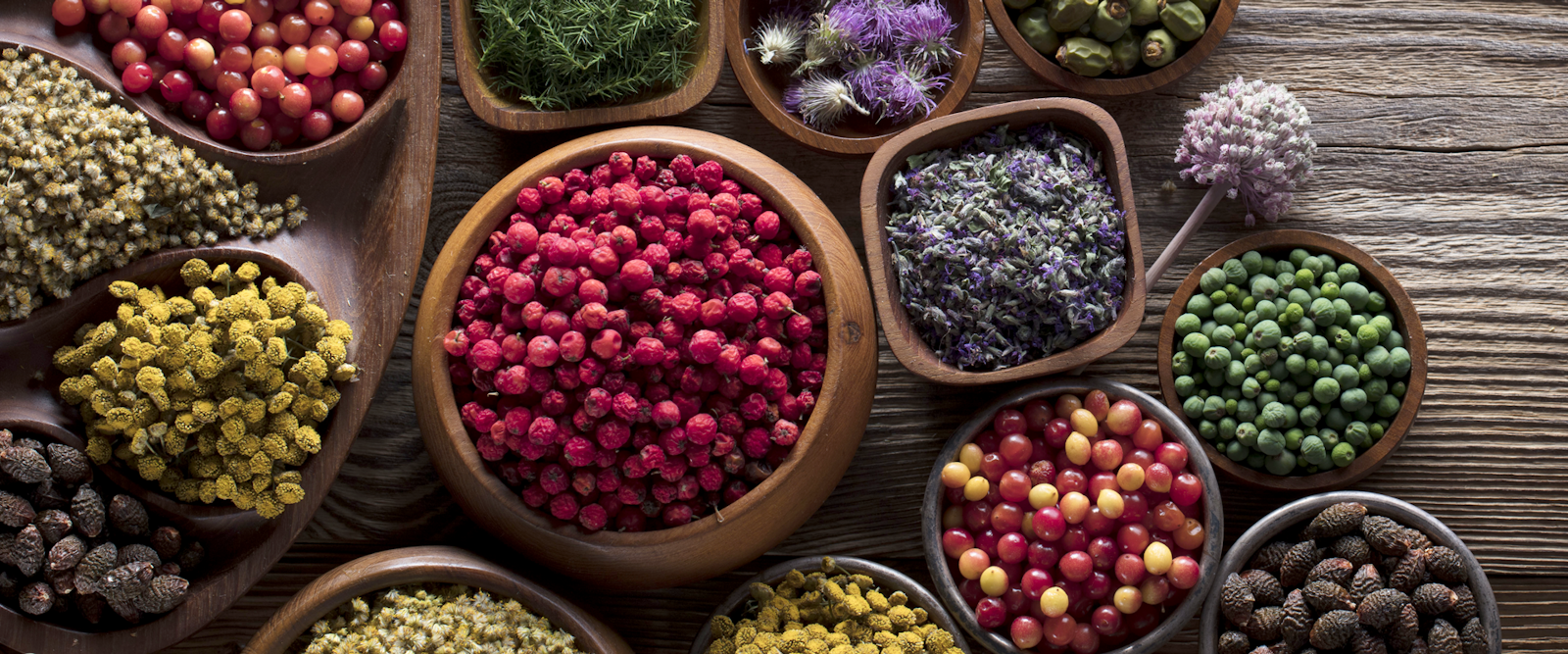 The Soli essential oils brand design photo of ingredients in bowls on a table.