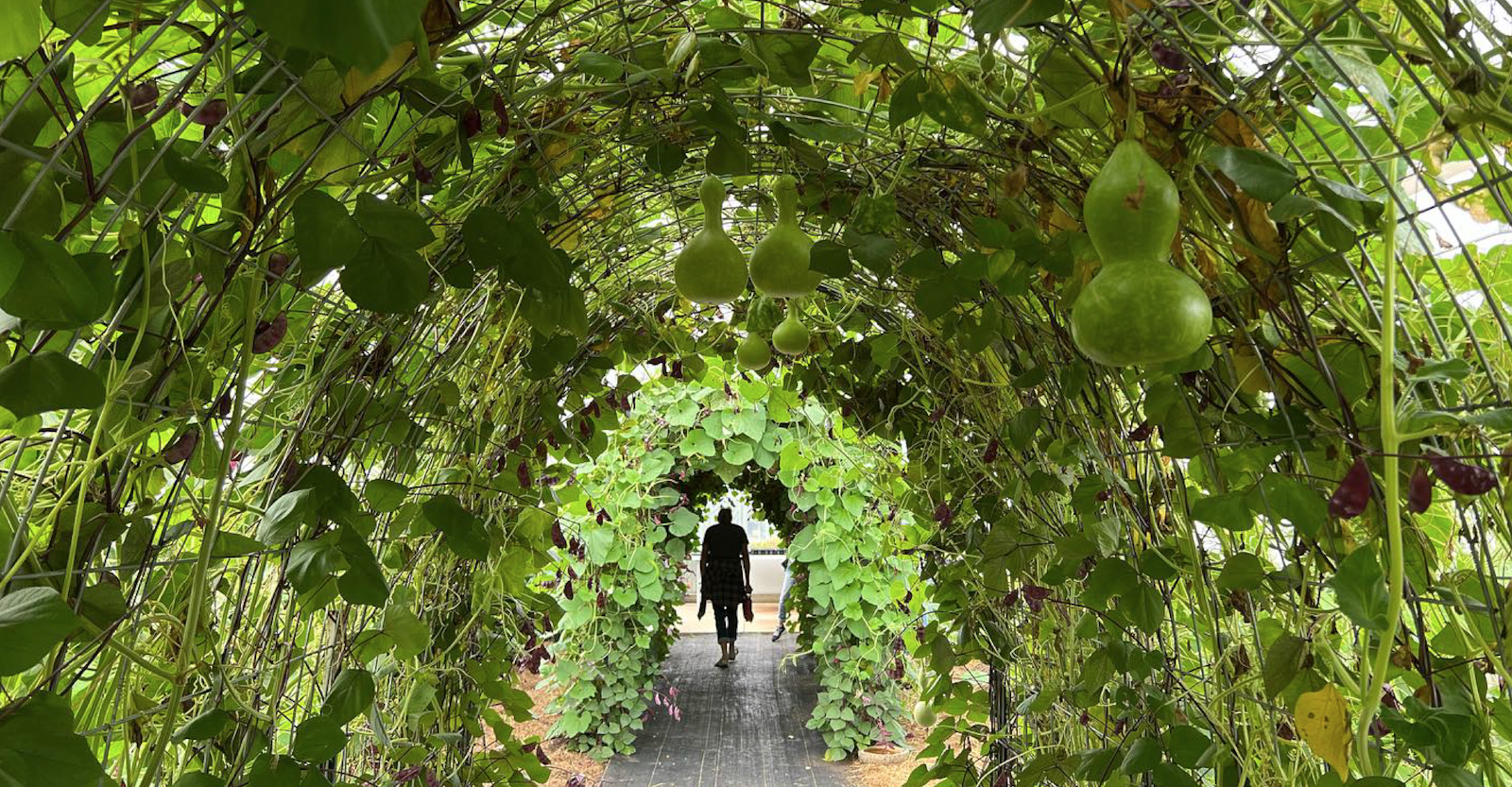 TAC Case Study Gallery A 1