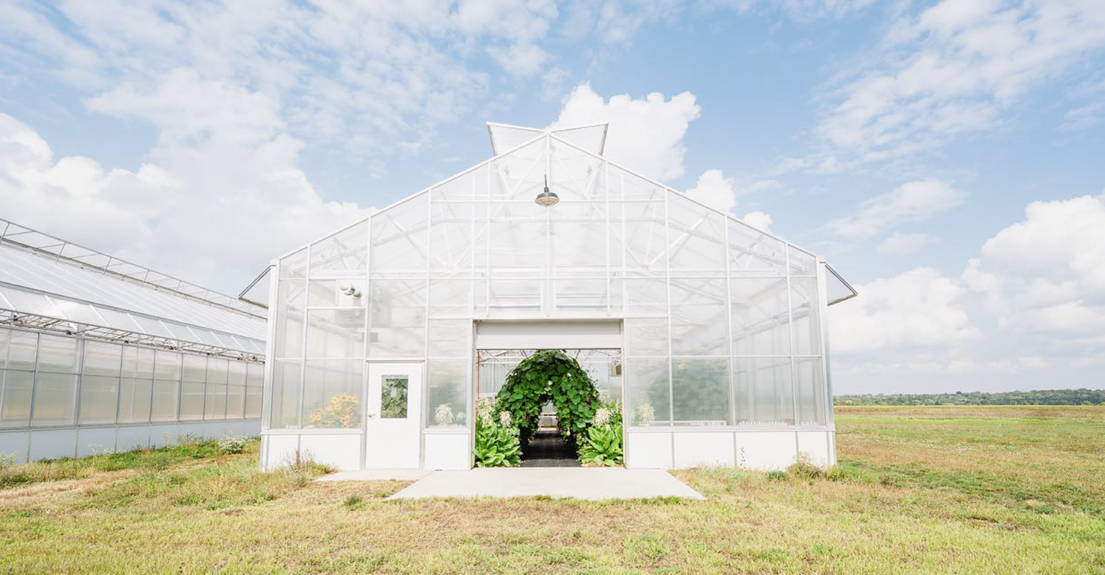 TAC Case Study Gallery D 1