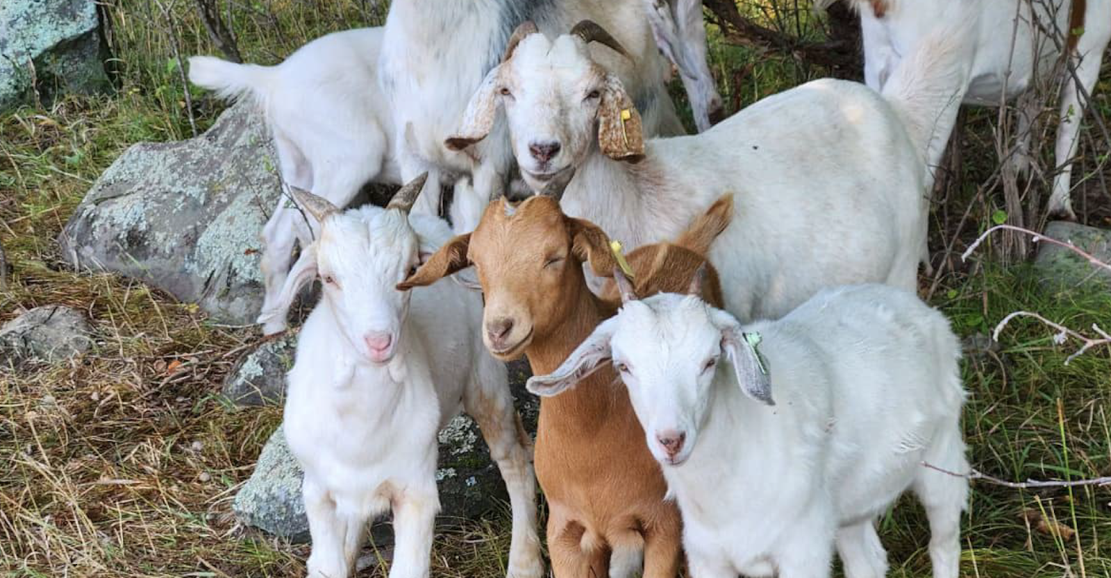 TAC Case Study Gallery E 1