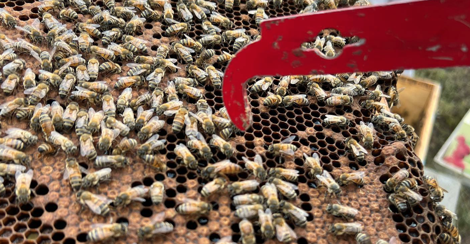 TAC Case Study Gallery H 1