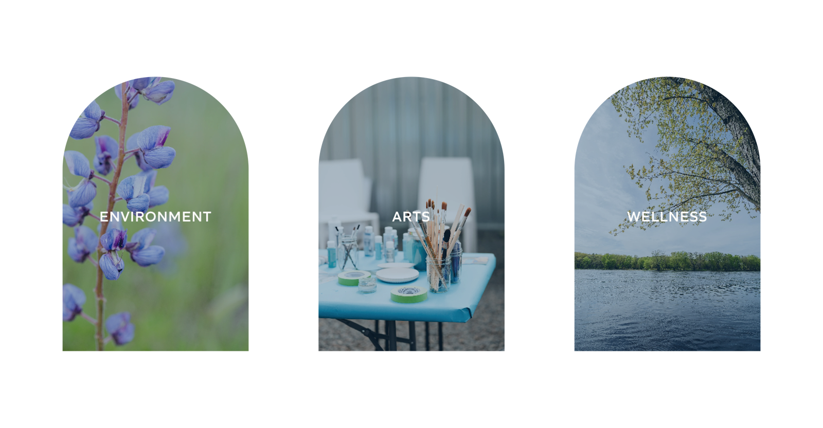 TAC Case Study Pillars A 1