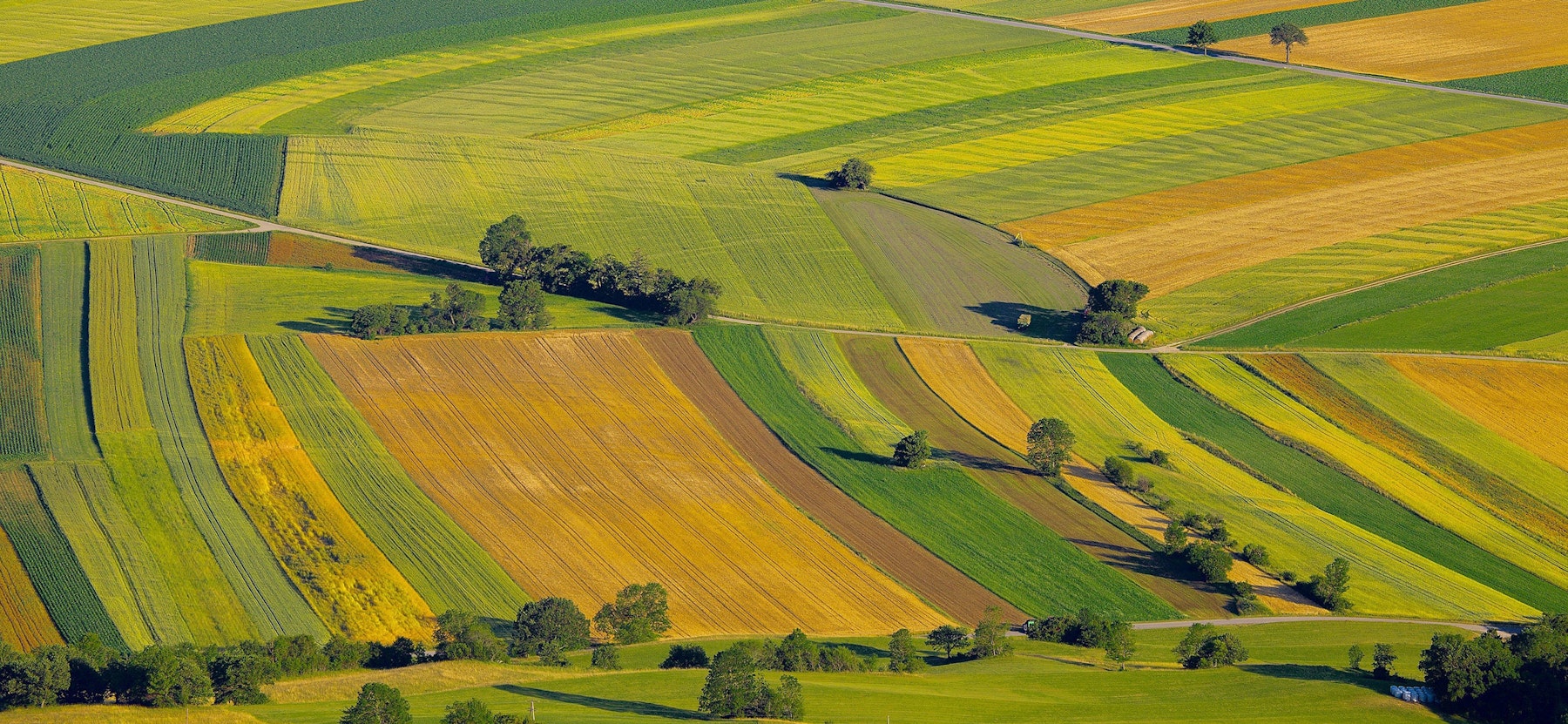 The GreenSeam brand design on farmland background photograph.