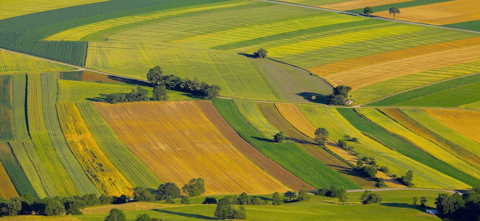 The GreenSeam brand design on farmland background photograph.