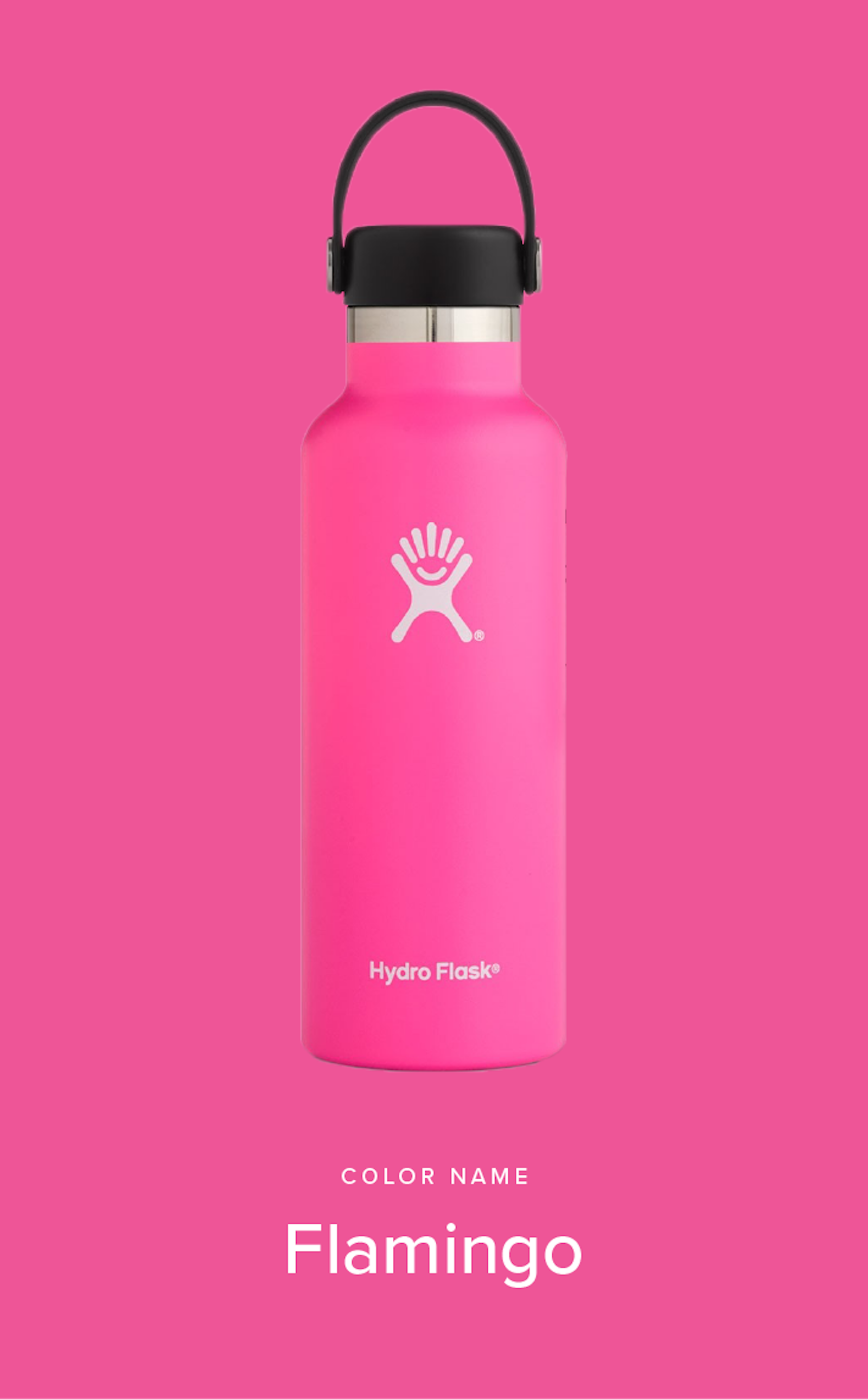 The Hydro Flask brand design for the Flamingo flask product on pink background.