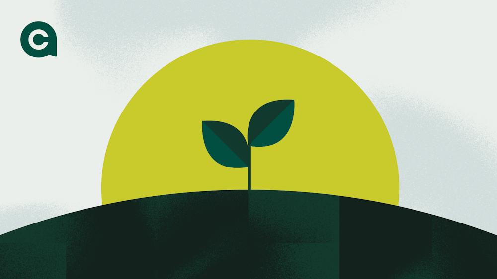 CAP IDE Blog bml SP P2 1